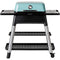 Everdure Propane Gas Grill Mint Everdure By Heston Blumenthal FORCE 48-Inch 2-Burner Propane Gas Grill With Stand