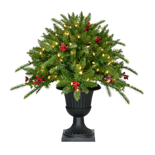 Fraser Hill Farm -  2-Ft. Porch Tree in Black Pot with Red Berries and Warm White Lights