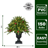 Fraser Hill Farm -  3-Ft. Porch Tree in Black Pot with Red Berries and Warm White Lights