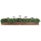 Fraser Hill Farm -  42-inch 5-Candle Holder Holiday Centerpiece with Boxwood Greenery and Red Berries in Wooden Box