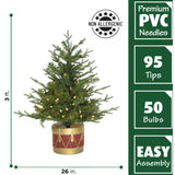 Fraser Hill Farm -  3.0-Ft Adirondack Pre Lit Potted Christmas Tree Decor with Warm White LED Lights
