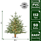 Fraser Hill Farm -  2-Ft. Green Alpine Porch Accent Tree with Warm White LED Lights