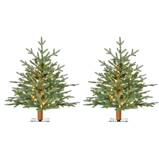 Fraser Hill Farm -  2-Ft. Green Alpine Porch Accent Tree with Warm White LED Lights, Set of 2