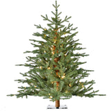 Fraser Hill Farm -  3-Ft. Green Alpine Porch Accent Tree with Warm White LED Lights, Set of 2