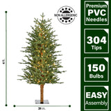 Fraser Hill Farm -  4-Ft. Green Alpine Porch Accent Tree with Warm White LED Lights
