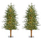 Fraser Hill Farm -  4-Ft. Green Alpine Porch Accent Tree with Warm White LED Lights, Set of 2