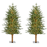 Fraser Hill Farm -  4-Ft. Green Alpine Porch Accent Tree with Warm White LED Lights, Set of 2