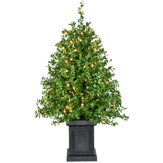 Fraser Hill Farm -  2-Ft. Boxwood Porch Tree in Black Pot with Warm White Lights