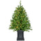 Fraser Hill Farm -  3-Ft. Boxwood Porch Tree in Black Pot with Warm White Lights