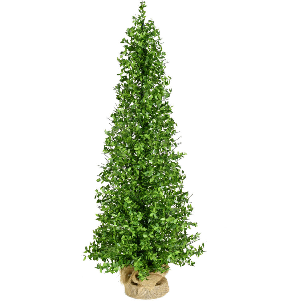 Fraser Hill Farm -  4-Ft. Boxwood Porch Tree in Burlap Bag