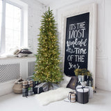 Fraser Hill Farm -  9 Ft. Carmel Pine Slim Artificial Christmas Tree with Warm White LED String Lighting