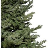 Fraser Hill Farm -  10-Ft. Foxtail Pine Christmas Tree