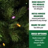 Fraser Hill Farm -  7.5-Ft. Foxtail Pine Christmas Tree with EZ Connect Multi-Color LED Lighting