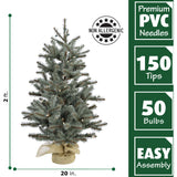 Fraser Hill Farm -  2-Ft. Heritage Pine Artificial Tree with Burlap Base and Battery-Operated LED String Lights