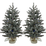 Fraser Hill Farm -  Set of Two 2-Ft. Heritage Pine Artificial Trees with Burlap Bases and Battery-Operated Multi-Colored LED String Lights