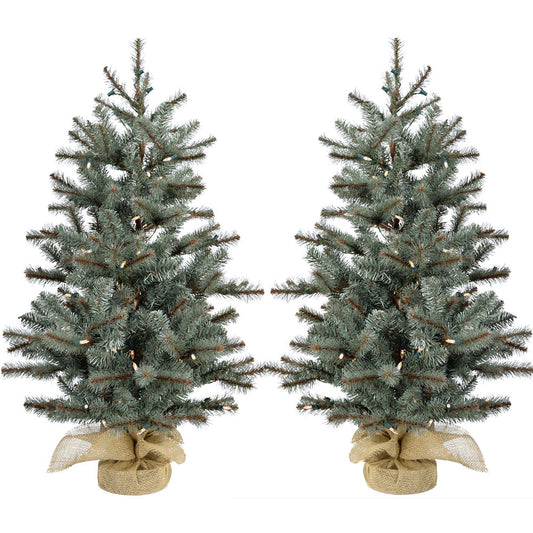 Fraser Hill Farm -  Set of Two 3-Ft. Heritage Pine Artificial Trees with Burlap Bases and LED String Lights