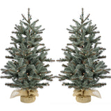 Fraser Hill Farm -  Set of Two 3-Ft. Heritage Pine Artificial Trees with Burlap Bases and LED String Lights