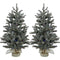 Fraser Hill Farm -  Set of Two 3-Ft. Heritage Pine Artificial Trees with Burlap Bases and Multi-Colored LED String Lights