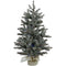 Fraser Hill Farm -  4-Ft. Heritage Pine Artificial Tree with Burlap Base and Multi-Colored LED String Lights