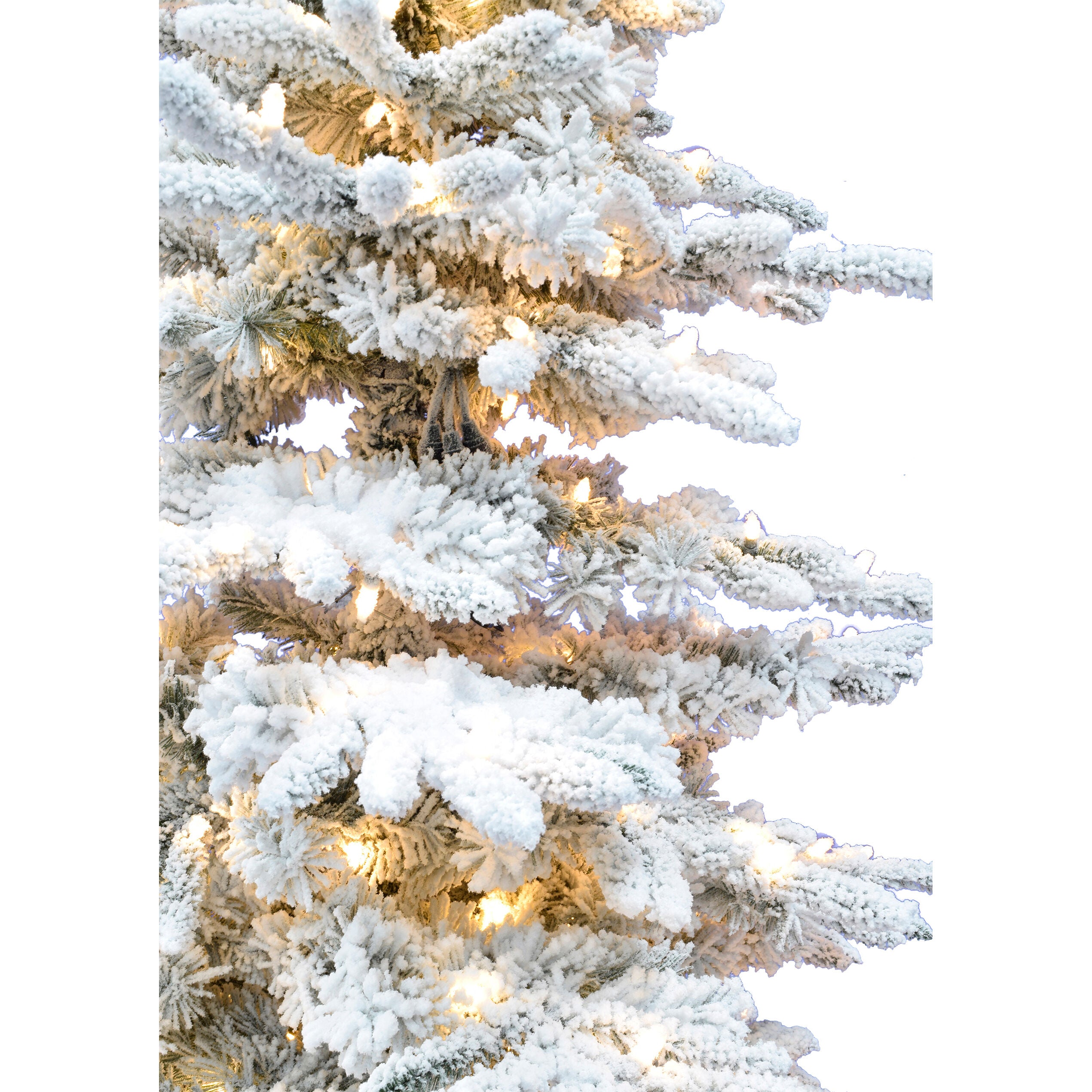 Fraser Hill Farm -  12-Ft. Flocked Mountain Pine Christmas Tree with Warm White LED Lighting