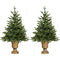 Fraser Hill Farm -  Set of Two 3-Ft. Noble Fir Artificial Trees with Metallic Urn Bases