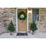 Fraser Hill Farm -  4-Ft. Noble Fir Artificial Tree with Metallic Urn Base and LED String Lights