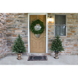 Fraser Hill Farm -  Set of Two 4-Ft. Noble Fir Artificial Trees with Metallic Urn Bases and Multi-Colored LED String Lights