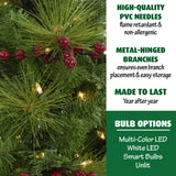 Fraser Hill Farm -  2-Ft. Newberry Pine Artificial Tree with Battery-Operated LED String Lights