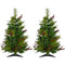 Fraser Hill Farm -  Set of Two 2-Ft. Newberry Pine Artificial Trees with Battery-Operated Multi-Colored LED String Lights