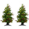 Fraser Hill Farm -  Set of Two 3-Ft. Newberry Pine Artificial Trees with Battery-Operated LED String Lights