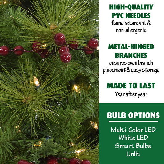 Fraser Hill Farm -  Set of Two 4-Ft. Newberry Pine Artificial Trees with LED String Lights