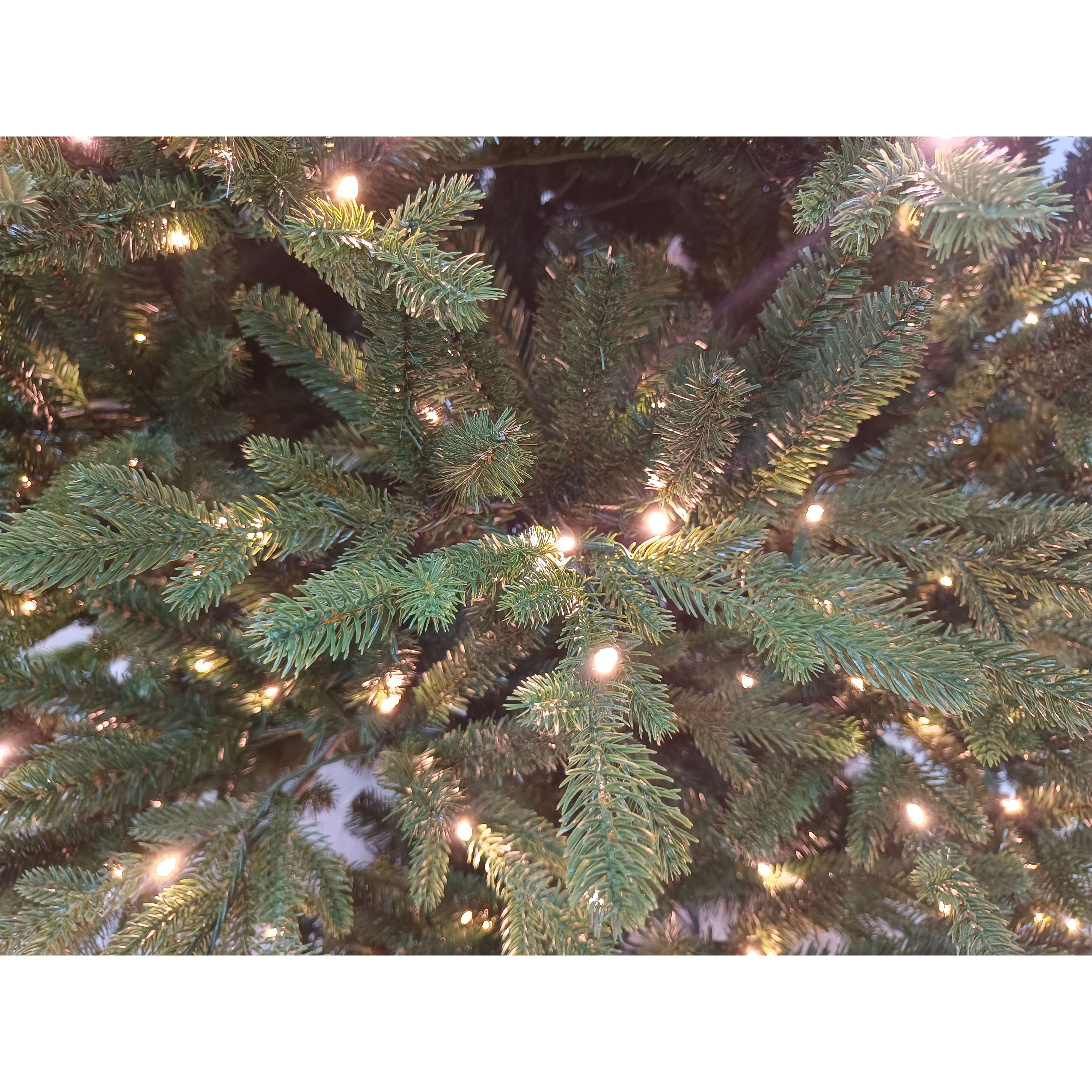 Fraser Hill Farm -  7.5-Ft. Oregon Pine Christmas Tree with Warm White LED Lighting