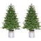Fraser Hill Farm -  3.5-Ft. Porch Accent Tree in Rustic Farmhouse Metal Jug, Set of 2, No Lights