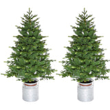 Fraser Hill Farm -  3.5-Ft. Porch Accent Tree in Rustic Farmhouse Metal Jug, Set of 2, No Lights