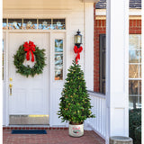 Fraser Hill Farm -  4.5-Ft. Porch Tree in Reindeer Pot with Warm White LED Lights