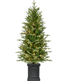 Fraser Hill Farm -  4.5-Ft. Porch Tree in Black Pot with Clear Lights