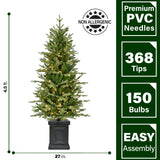 Fraser Hill Farm -  4.5-Ft. Porch Tree in Black Pot with Clear Lights