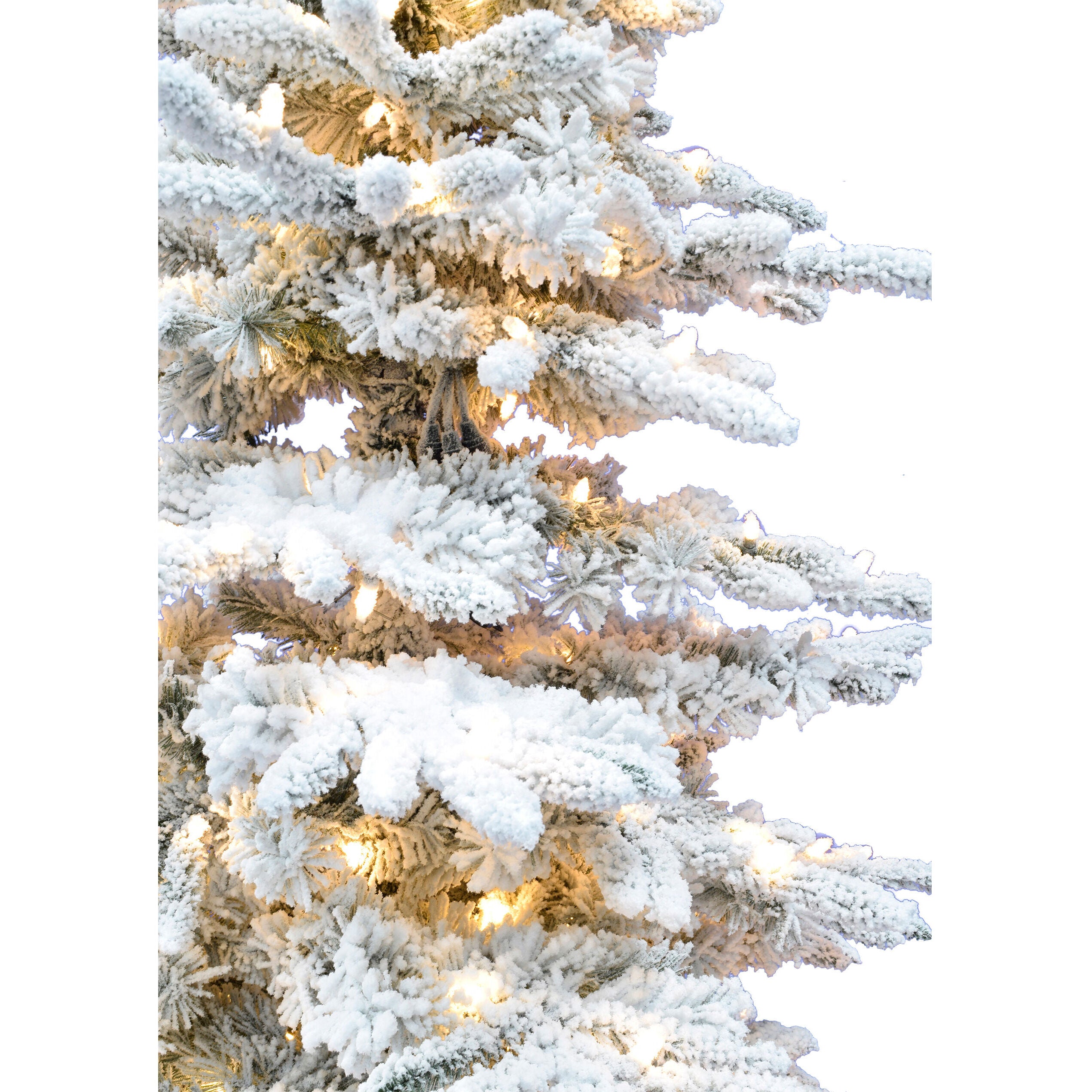 Fraser Hill Farm -  12-Ft. Flocked Pine Valley Christmas Tree with Clear Smart String Lighting