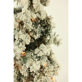 Fraser Hill Farm -  2-Ft. Snowy Alpine Tree with Clear Lights