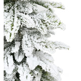 Fraser Hill Farm -  2-Ft. Snowy Downswept Tree