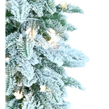 Fraser Hill Farm -  2-Ft. Snowy Downswept Tree with Clear Lights