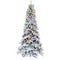 Fraser Hill Farm -  7.5-Ft. Slim White Tail Pine Snow-Flocked Christmas Tree with Colorful G40 Bulbs