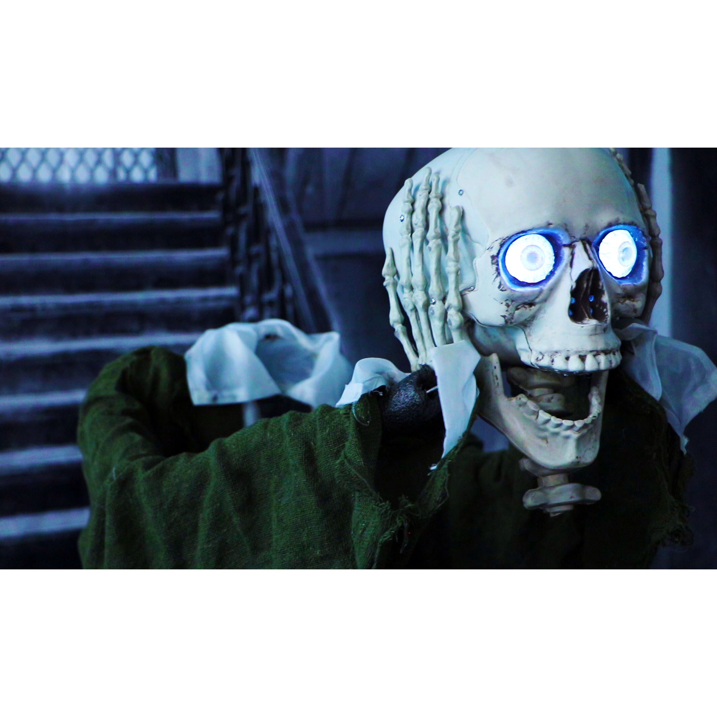 Haunted Hill Farm -  Herman the Headless Talking Skeleton Animatronic, Indoor or Covered Outdoor Halloween Decoration