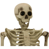Haunted Hill Farm -  Igor the 5-ft. Poseable Skeleton, Indoor/Covered Outdoor Halloween Decoration