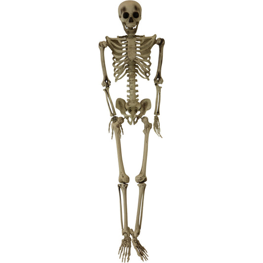 Haunted Hill Farm -  Igor the 5-ft. Poseable Skeleton, Indoor/Covered Outdoor Halloween Decoration