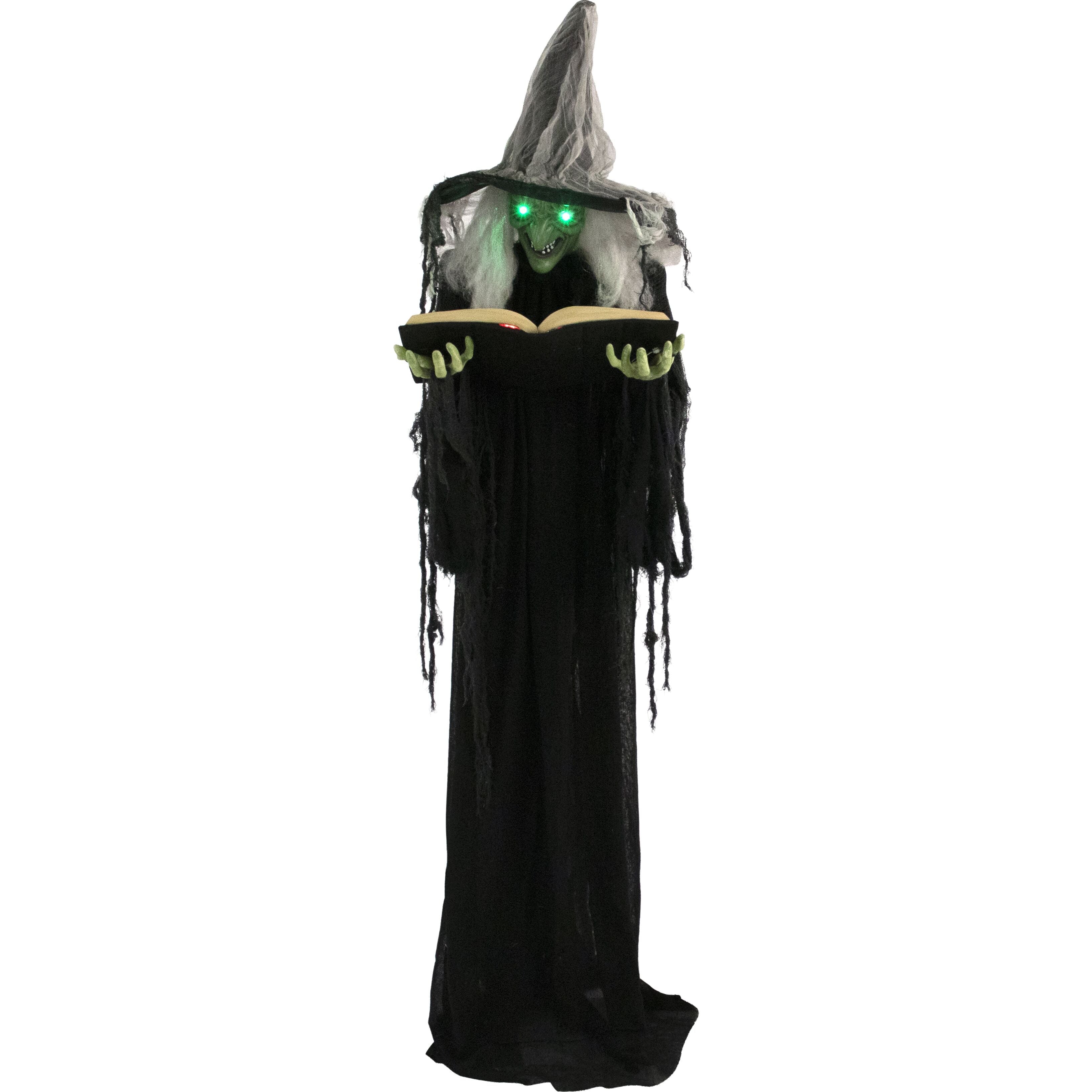 Haunted Hill Farm -  Life-Size Animatronic Witch, Indoor/Outdoor Halloween Decoration, Light-up Green Eyes, Talking