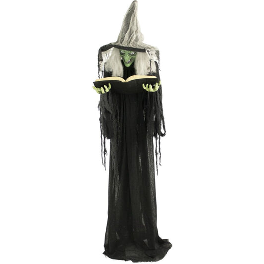 Haunted Hill Farm -  Life-Size Animatronic Witch, Indoor/Outdoor Halloween Decoration, Light-up Green Eyes, Talking