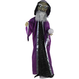 Haunted Hill Farm - Animatronic Talking Wizard with Movement and Light-Up Crystal Ball for Scary Halloween Decoration