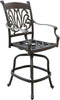 Lawton Casual Comfort Outdoor Barstools Lawton Casual Comfort - Cast Aluminum Barstool w/ Design (Set of 2)