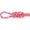 MAXIM CLIMBING ROPES Ropes > Dynamic > Maxim New England Pink MAXIM CLIMBING ROPES - DANA FARBER 9.9MM X 70M